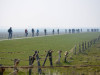 Fahrradexkursion auf Langeoog